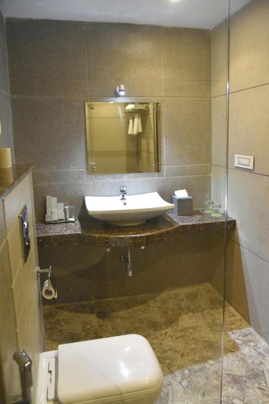 Rester Select Jodhpur Hotel 3*